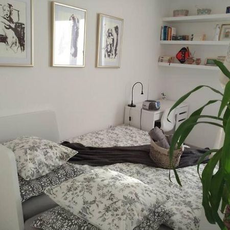 New Studio Apartment Sun With Free Parking زغرب المظهر الخارجي الصورة